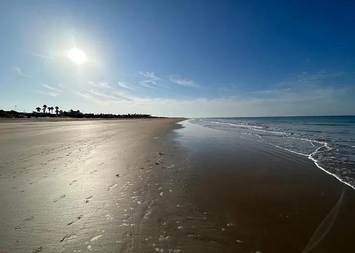 La Almadraba Del Palmar De Vejer II